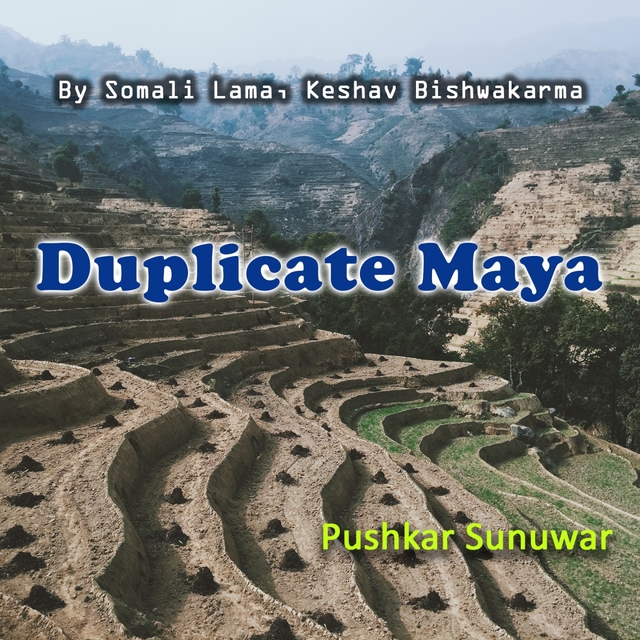 Duplicate Maya