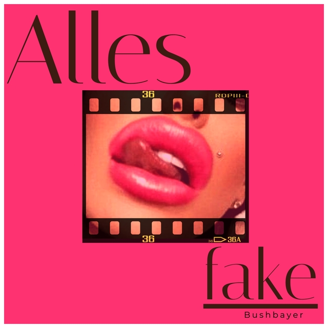 Couverture de Alles Fake