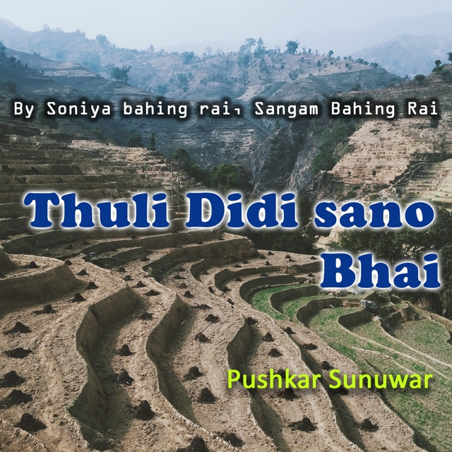 Couverture de Thuli Didi Sano Bhai