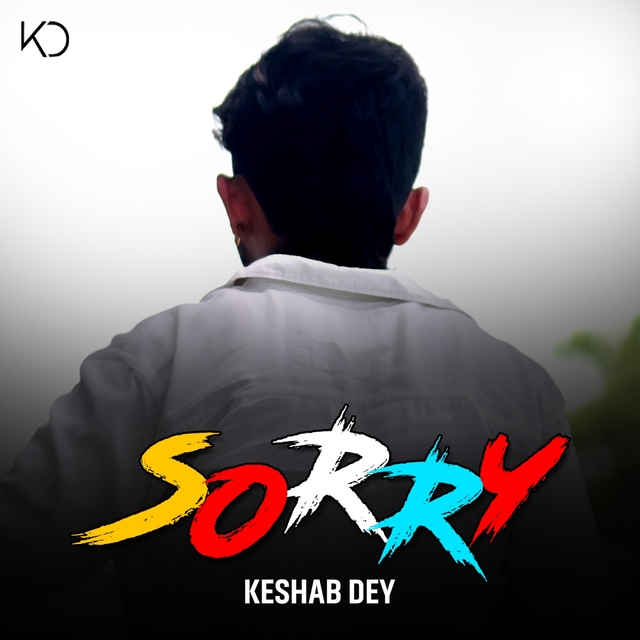 Couverture de Sorry