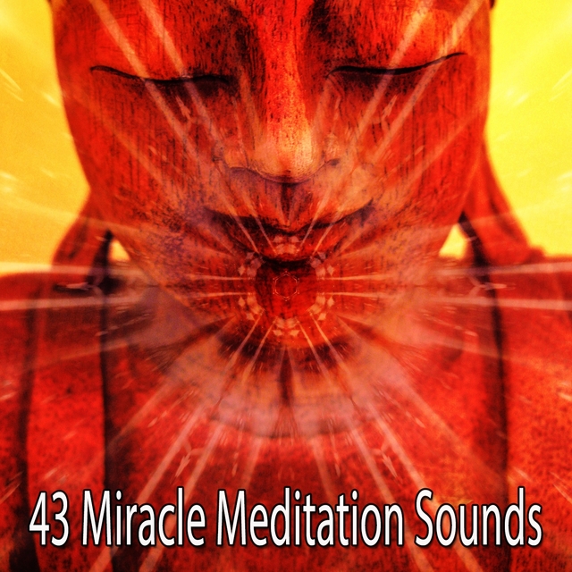 Couverture de 43 Miracle Meditation Sounds
