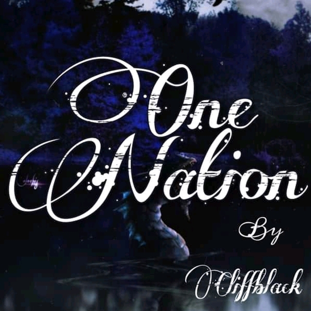 Couverture de One Nation