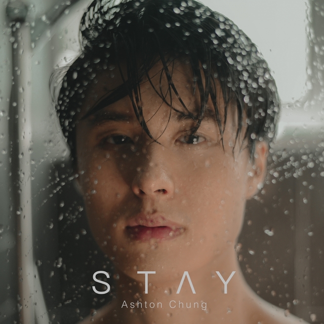 Couverture de Stay