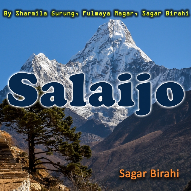 Couverture de Salaijo