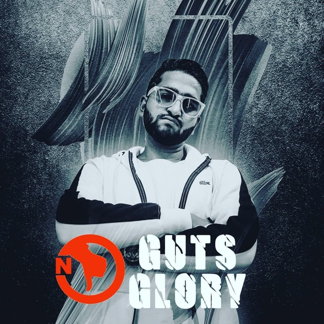 Couverture de No Guts No Glory