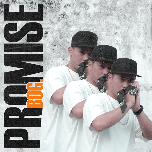 Couverture de Promise