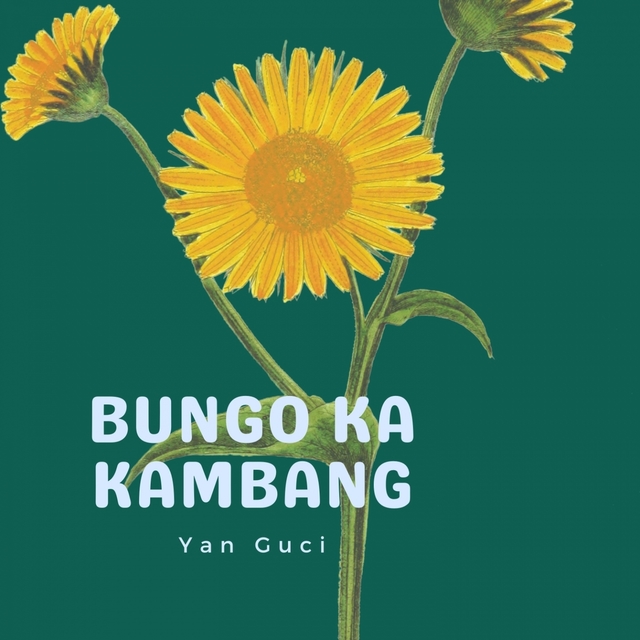 Couverture de Bungo Ka Kambang