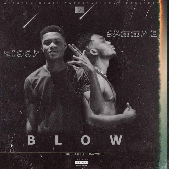 Couverture de Blow