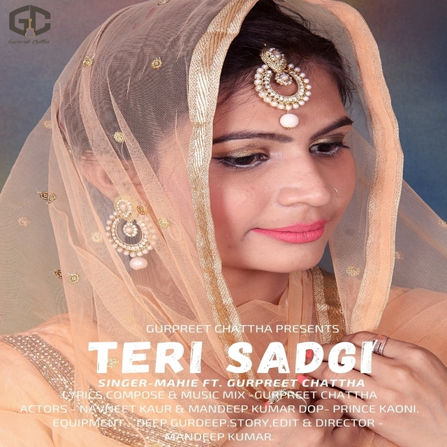 Couverture de Teri Sadgi