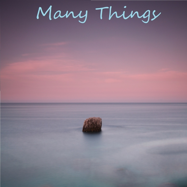 Couverture de Many Things