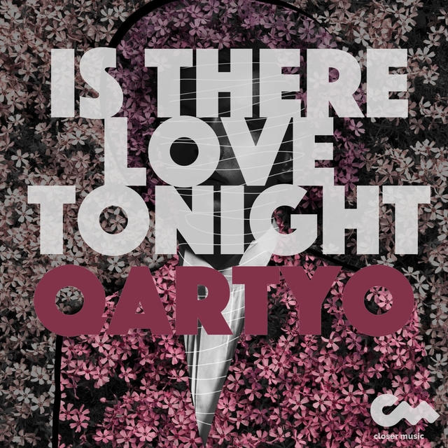 Couverture de Is There Love Tonight
