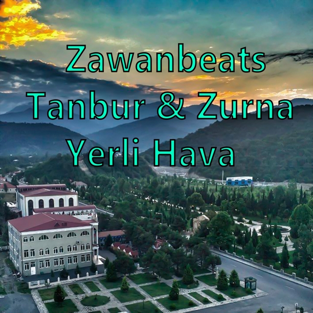 Couverture de Tanbur & Zurna Yerli Hava