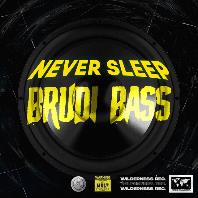 Couverture de Brudi Bass