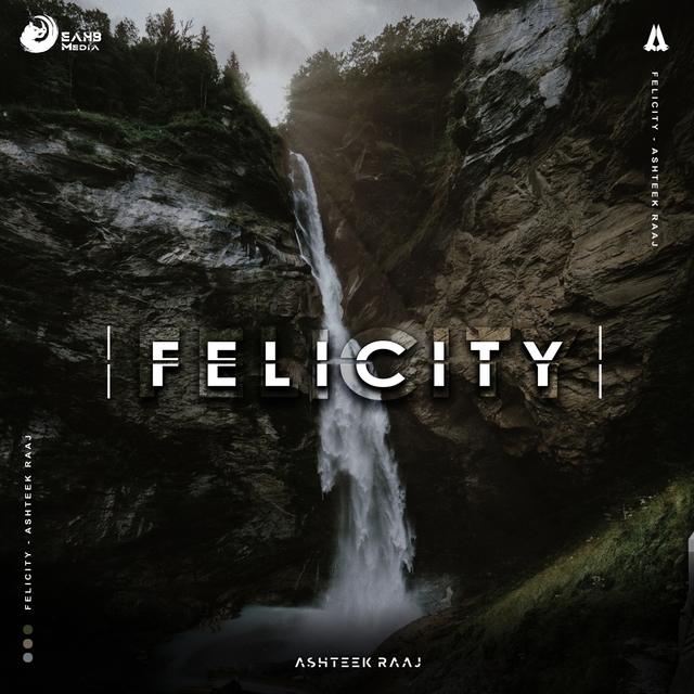 Couverture de Felicity