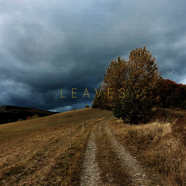 Couverture de Leaves