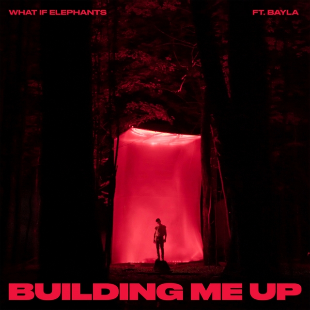 Couverture de Building Me Up