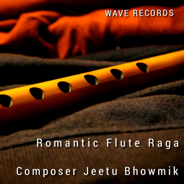 Couverture de Romantic Flute Raga