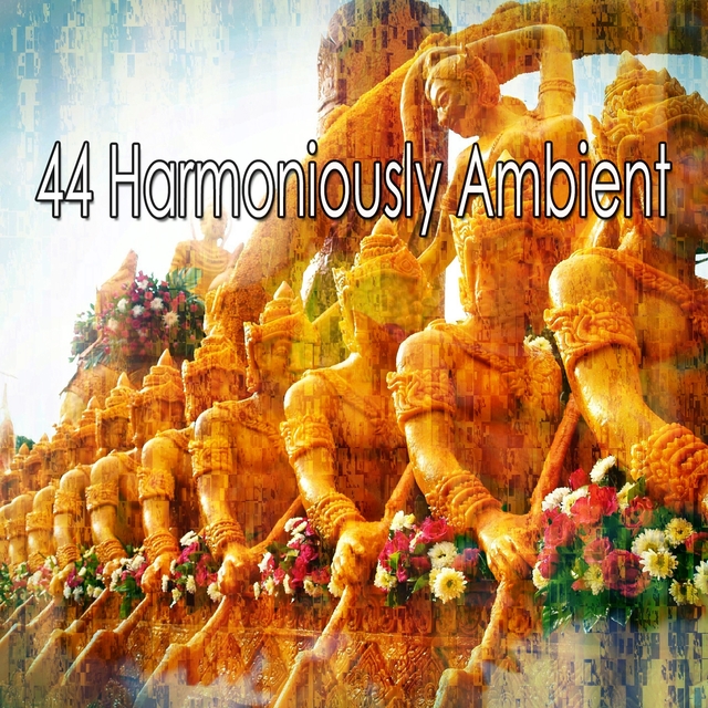 Couverture de 44 Harmoniously Ambient