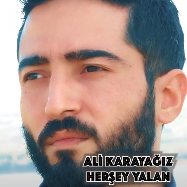 Couverture de Herşey Yalan