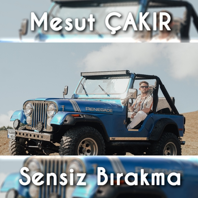 Couverture de Sensiz Bırakma