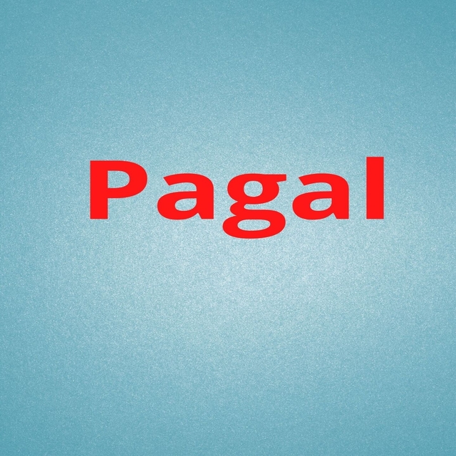 Couverture de Pagal