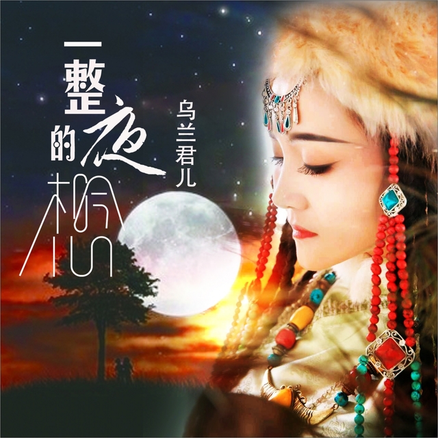 Couverture de 一整夜的想念