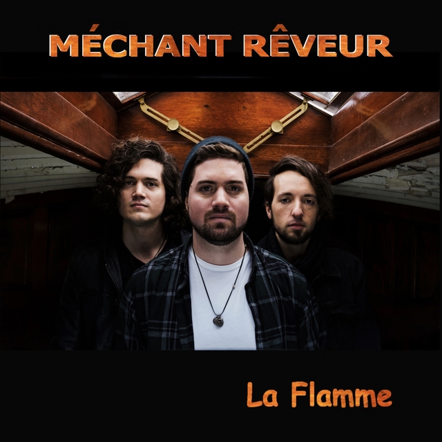 Couverture de La flamme