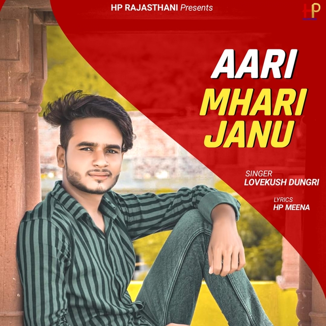 Couverture de Aari Mhari Janu