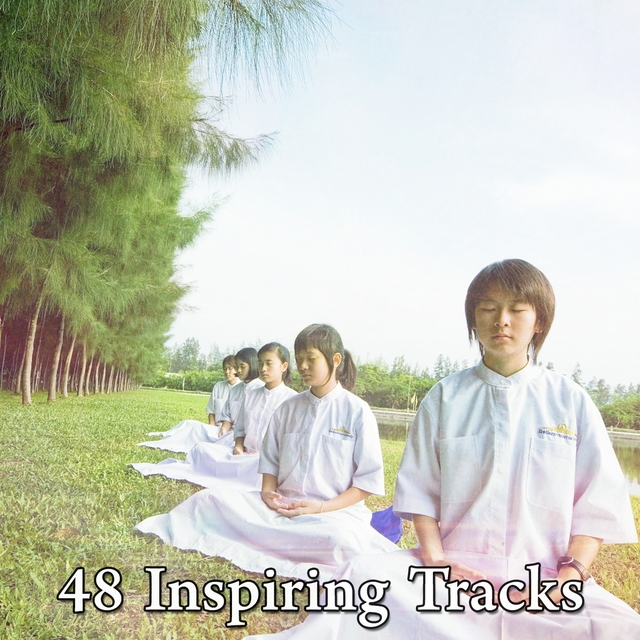 Couverture de 48 Inspiring Tracks