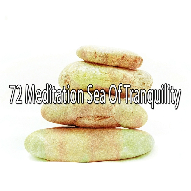 Couverture de 72 Meditation Sea Of Tranquility