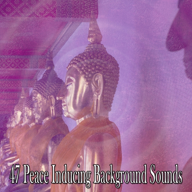 Couverture de 47 Peace Inducing Background Sounds