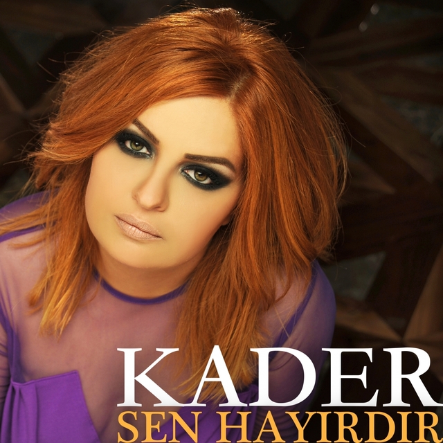 Couverture de Sen Hayırdır