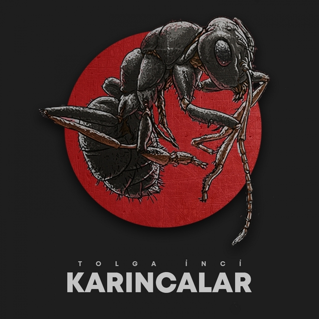 Couverture de Karıncalar