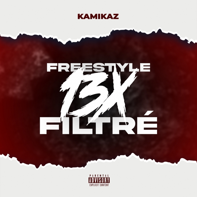 Couverture de Freestyle 13x filtré