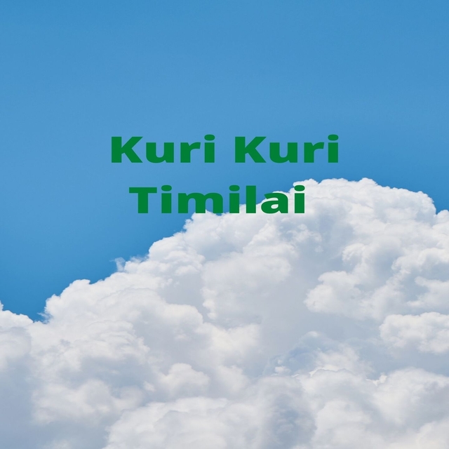 Kuri Kuri Timilai