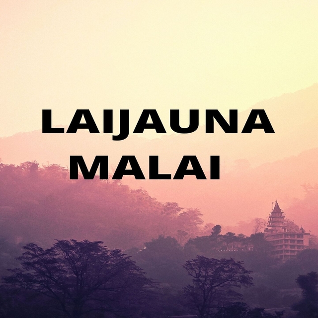 Couverture de Laijauna Malai