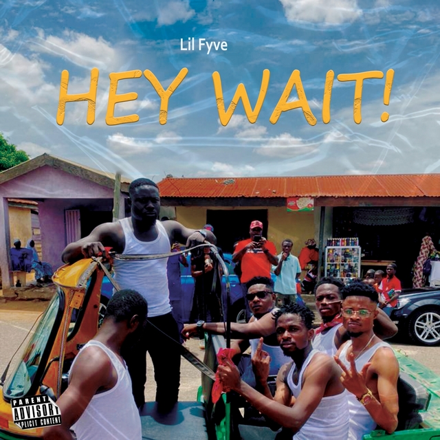 Couverture de Hey Wait