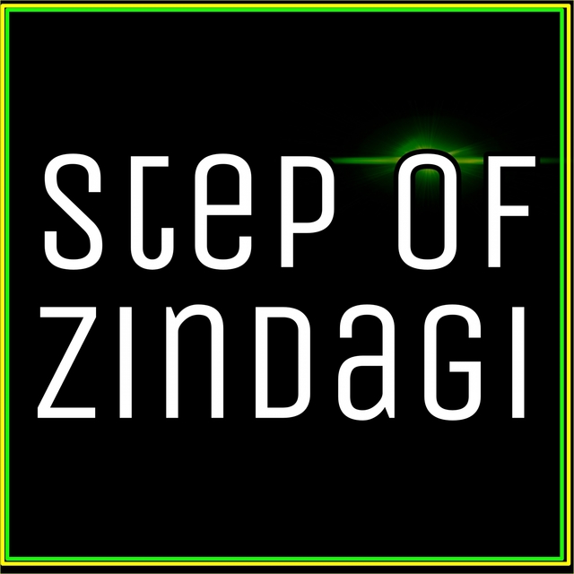 Couverture de Step Of Zindagi