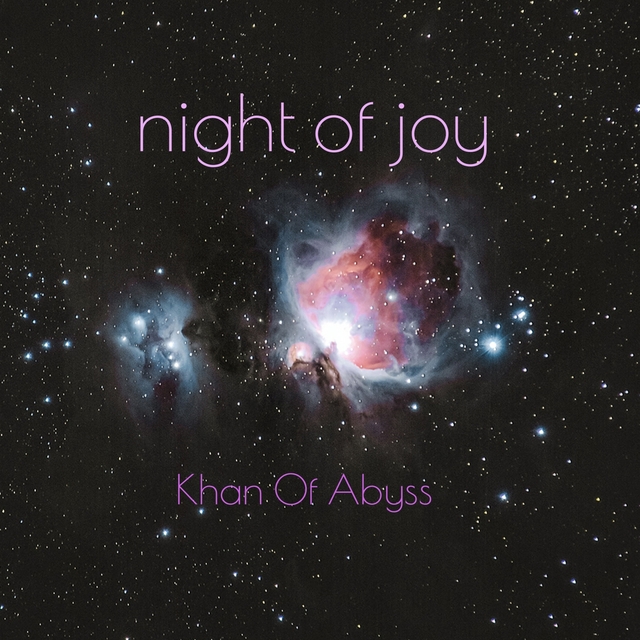 Couverture de Night of Joy