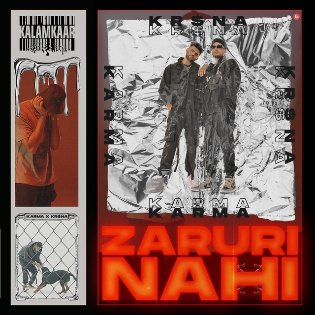 Couverture de Zaruri Nahi