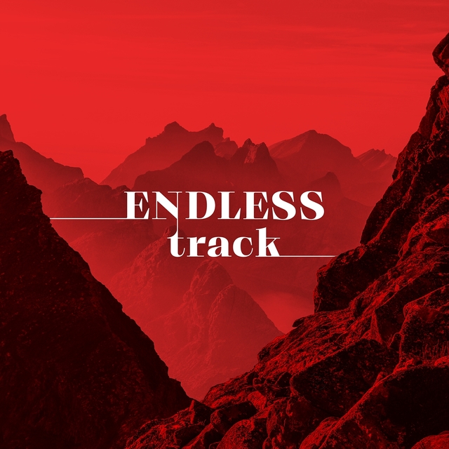 Couverture de Endless Track