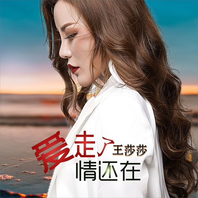 Couverture de 爱走了情还在