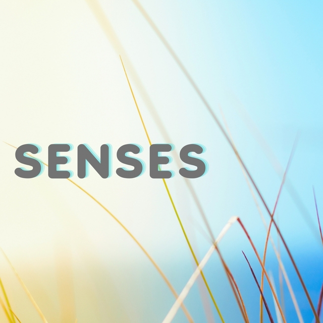 Senses