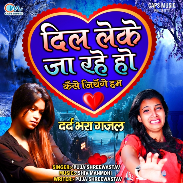 Couverture de Dil Leke Ja Rahe Ho Kaise Jiyenge Ham