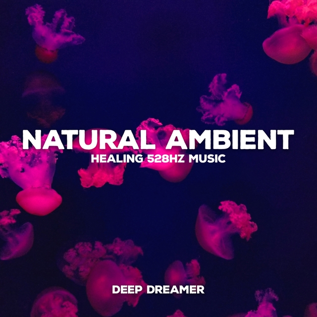 Couverture de Natural Ambient