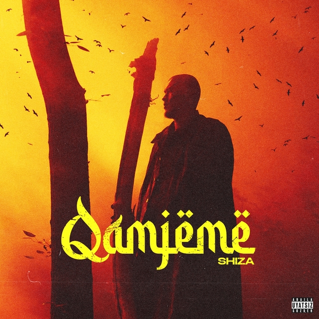 Couverture de Qamjeme