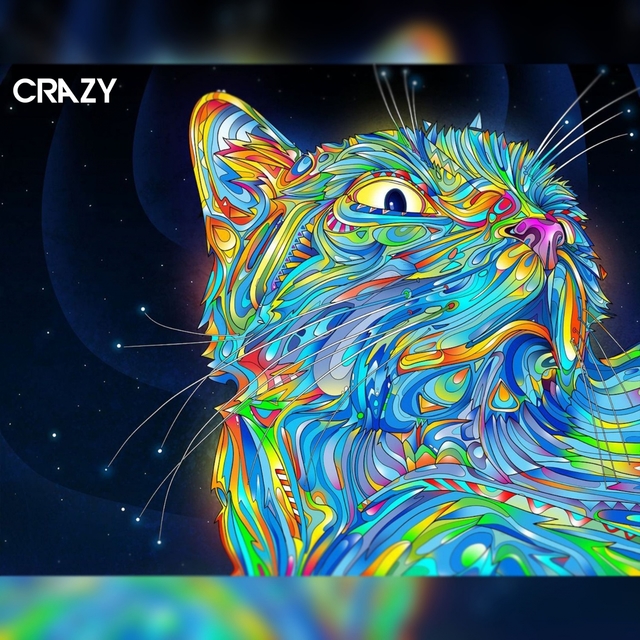 Couverture de Crazy