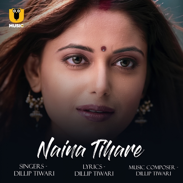 Couverture de Naina Tihare