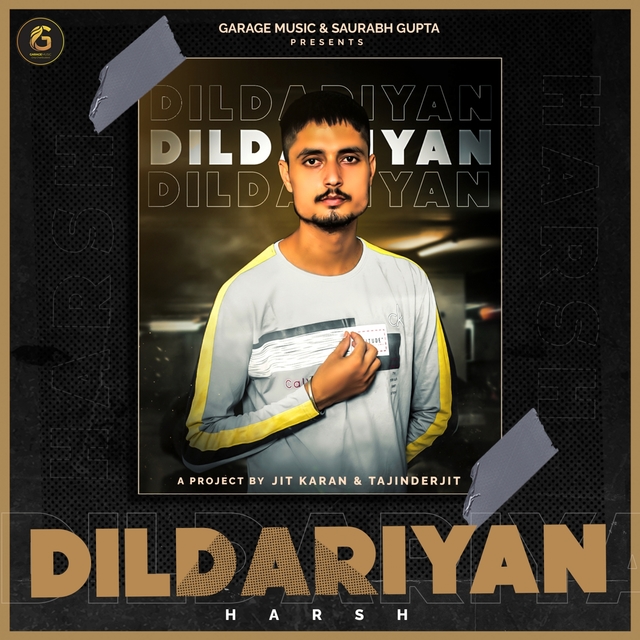 Couverture de Dildariyan