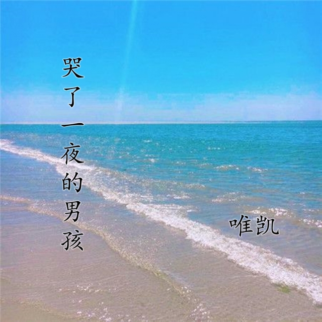 Couverture de 哭了一夜的男孩